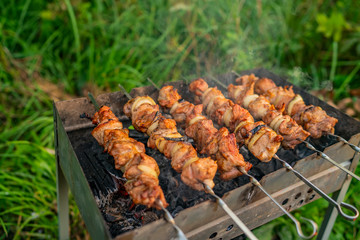 Barbecue meat on skewer cooked on grill BBQ. Picnic with outdoor kitchen.