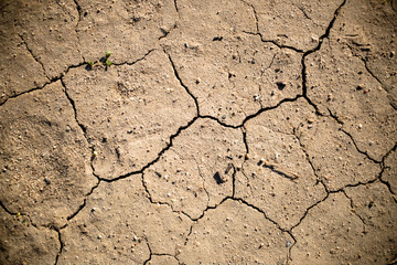 Dry Cracked Earth Detail 04