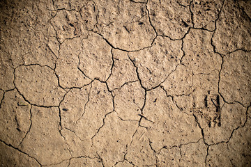 Dry Cracked Earth Detail 03