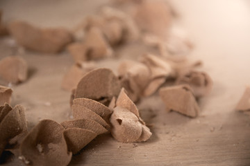Wood sawdust closeup. Sawdust floor texture. Milling machine