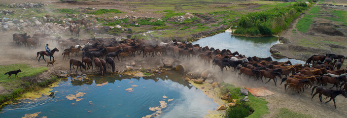 November 26, 2017 : Hörmetci village - Kayseri / Turkey - Free horses in the water