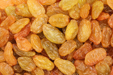 Heap of Golden Jumbo raisins. Background. Closeup