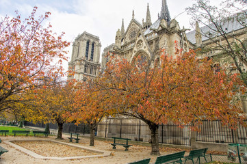 Obraz premium SONY DSC