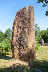 Menhirs et m&eacute;galithes - site m&eacute;galithique de Monteneuf en Bretagne