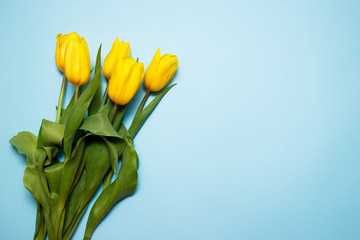 Naklejka premium Bouquet of yellow tulips on a blue background