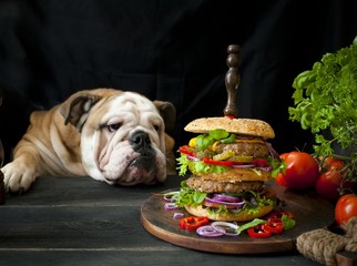 Double cheeseburger with onion,  salad and cheese.   the cook is preparing a sandwich.