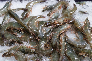 Fresh raw shrimps on ice for sale at the seafood and fish market in Thailand. Food background. Food ingredients.