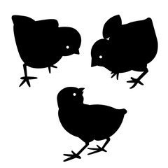 Black silhouette vector little easter set chicks