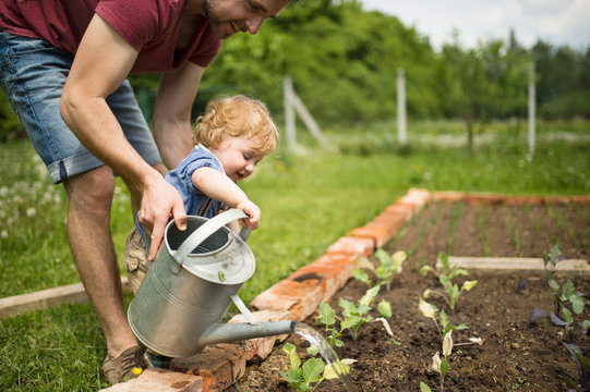 Father with his little son in the garden watering seedlings