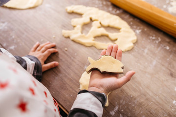 Boy cutting out cookies, close-up