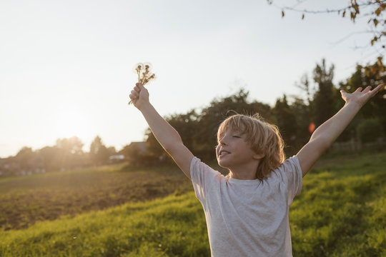 Carefree boy on the countryside in sunlight