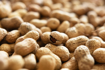Roasted Peanuts Background