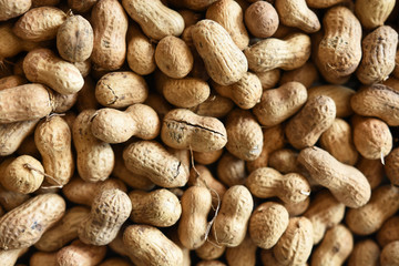 Roasted Peanuts Background