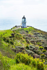 Fototapeta na wymiar Cape Reinga ,the northernmost point of New Zealand