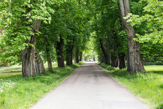 Germany, Ruegen, Putbus, alley