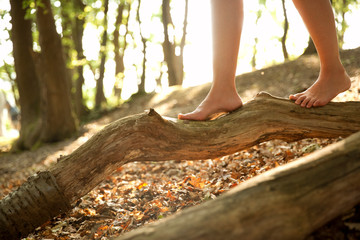 Close-up of feet of a woman in forest balancing on a log