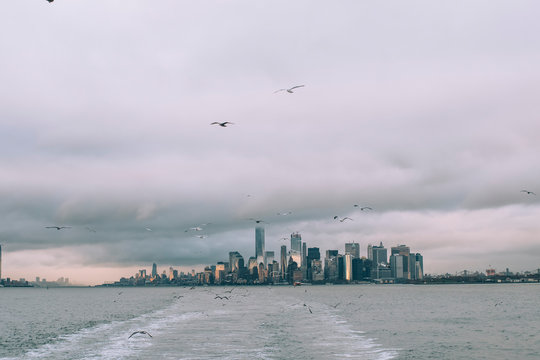 USA, New York, Panorama of Manhattan skyline, birds fly