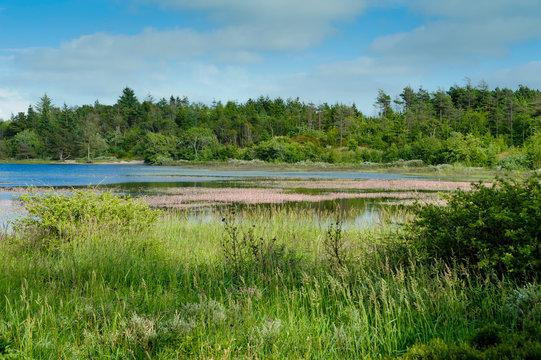 Denmark, Jutland, Thy National Park