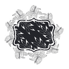 frame with plants and herbs isolated icon