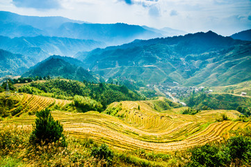 Fototapeta premium Rice terraces scenery in autumn, Longsheng, China 