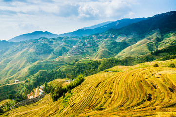 Rice terraces scenery in autumn, Longsheng, China 