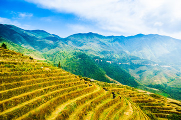 Fototapeta premium Rice terraces scenery in autumn, Longsheng, China 