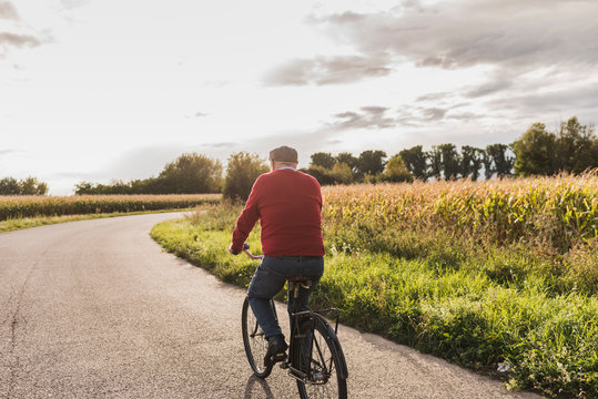 Senior man riding bicycle on country lane
