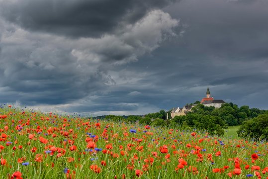 Thunderstorm over monastery Andechs with poppy field and cornflowers, pilgrimage church, Starnberg district, Upper Bavaria, Bavaria, Germany, Europe