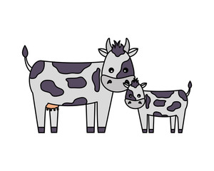 cow and calf