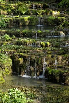Travertine terraces, travertine creek in the natural monument Lillachtal, Weissenohe-Dorfhaus, Franconian Switzerland natural preserve, Upper Franconia, Franconia, Bavaria, Germany, Europe
