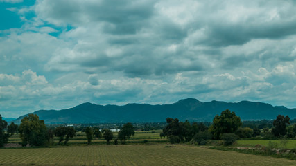 Beautiful green landscape