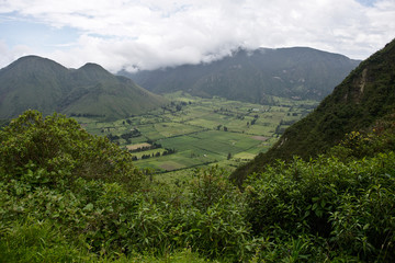 Fototapeta premium Interior of an old inactive volcano, Reserva Geobotanica Pululahua, Ecuador
