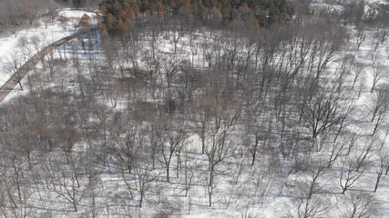 Winter landscape, Birds eye view