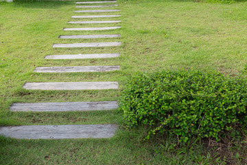 garden path walkway on green grass turf