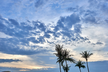 A beautiful sunset sky and palm trees of the Siloso Beach, Singapore.