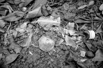 Broken glass on ground in black and white 