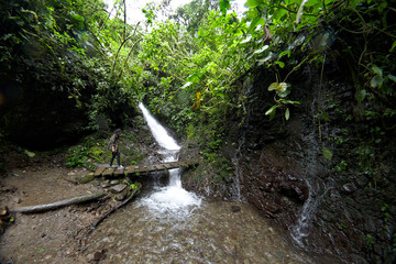 Pahuma orchid reserve, located about an hour northwest of Quito, Ecuador.