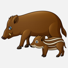 Cartoon wild boar and piglet