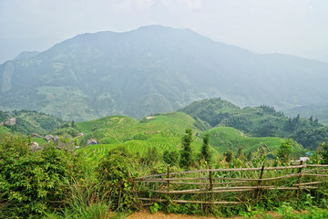 Fototapeta na wymiar Longji Ping'an Terraced Fields, Village, Guangxi Autonomous Region, China, asia