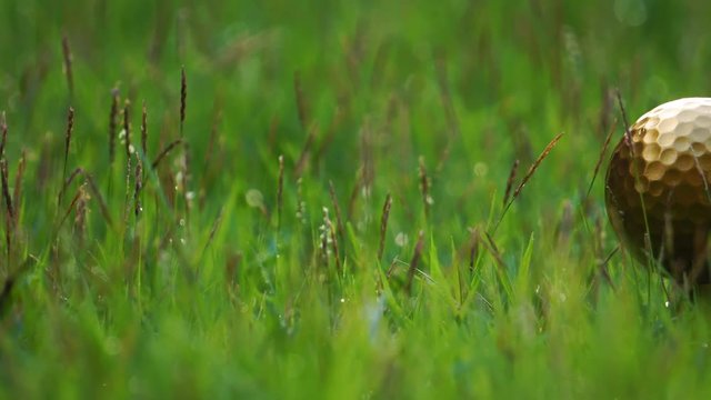 Golf golf ball and pins gold against the background of natural beauty, the ultimate victory of golf footage 4K