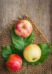Organic apples in kitchen from farm 
