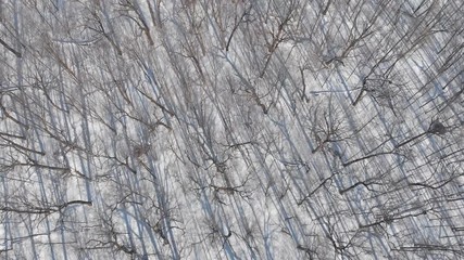 Winter landscape, Birds eye view