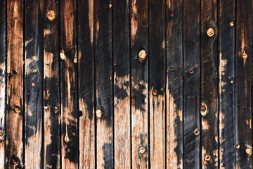 Old Rotten Wood Texture
