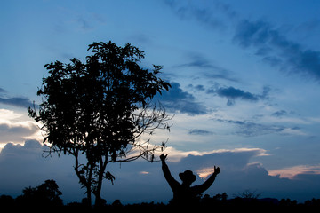Silhouette of tree with evening sky and farmer in farm 