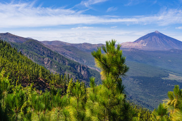 Incredible view of the Teide volcano from the viewpoint Mirador de Chipeque, which is located on the road number 24. Tenerife. Canary Islands..Spain