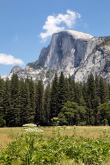 Half Dome in the Sierra Nevada Range - Yosemite National Park