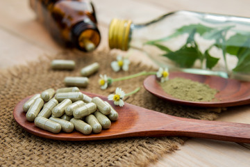 Fototapeta na wymiar Alternative supplement capsules from organic herb 