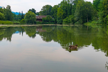 スイス　池　公園
