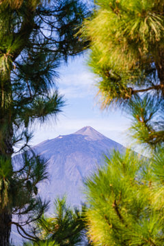 Incredible view of the Teide volcano from the viewpoint Mirador de Chipeque, which is located on the road number 24. Tenerife. Canary Islands..Spain