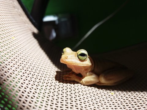Ojos y sol
